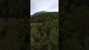 Раннее утро