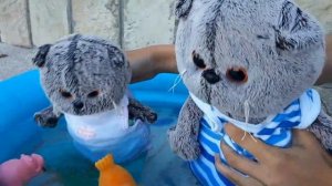 басики купаются в бассейне. басики на море