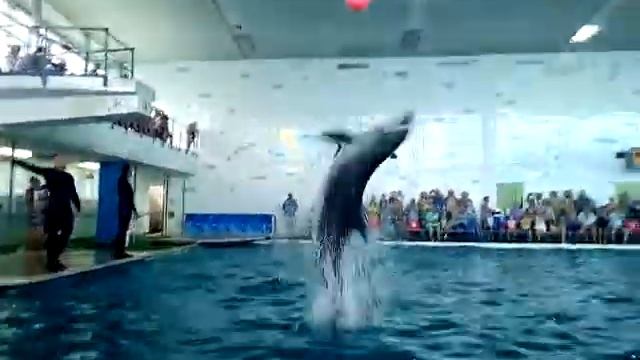 В Партените смотреть онлайн