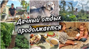 Отпуск продолжается.Я немного дачник Собираю малину, мою посуду. Вечерняя прогулка.