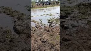 Гонки в недорожников .26.04.2025.