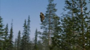 клип прикол