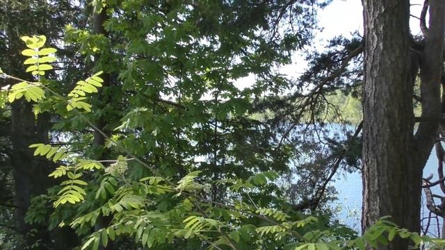 Турбаза Саулескалнс 30 лет спустя - "оптимистическое" видео. смотреть онлайн