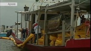 0042. НАУКА 2.0. БОЛЬШОЙ СКАЧОК. Волосы