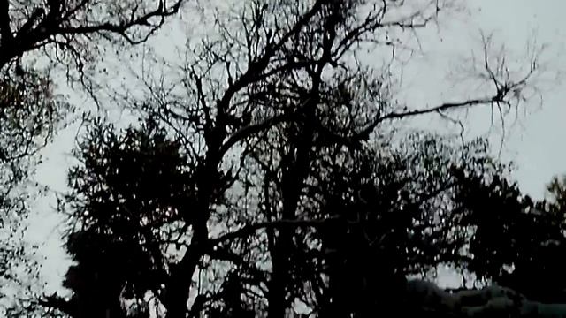 2014.09.19 Лагерь смотреть онлайн