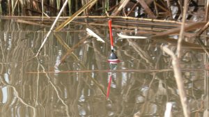 Килограммовые караси на поплавок . Вот эта рыбалка запомниться на долго! Давно таких не ловил