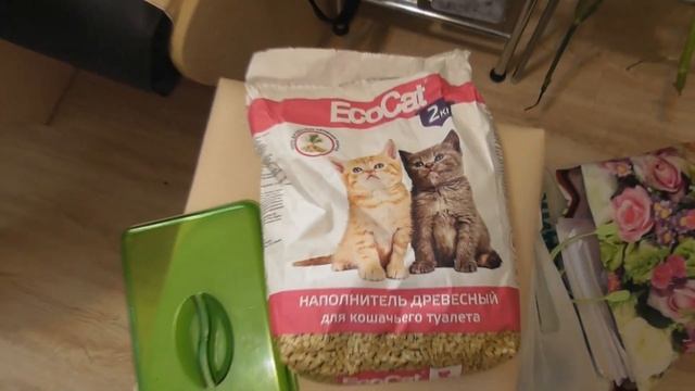 VLOG /ОСЕННИЙ ПОЦЕЛУЙ /ОДНА НА ПРИРОДЕ смотреть онлайн