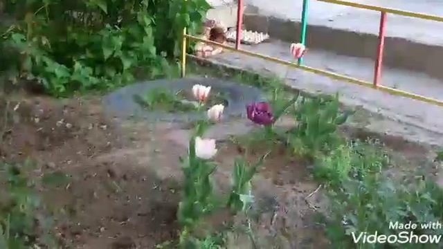 Красота Астраханских дворов 2019 смотреть онлайн