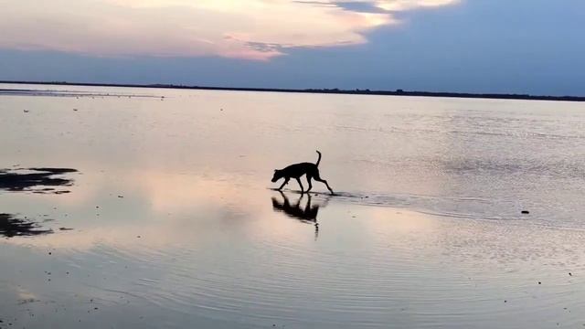 Тузлівські лимани смотреть онлайн