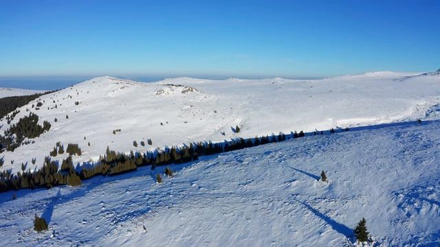 Витоша от Конярника до Камен дел - ot Koniarnika Vitosha  Kamendel