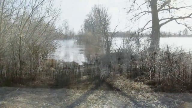 р.Припять. 27.2.2024г.Голубица,Вышелов,Славинск,Дорошевичи.Обзор. смотреть онлайн