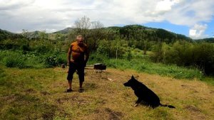 Алтайский край. Чарышский район.5 июля 2024г.