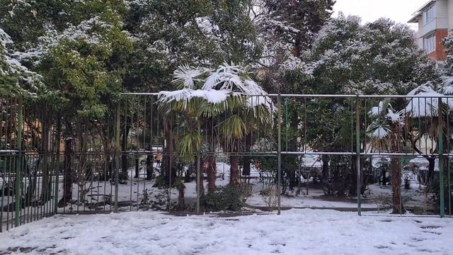 Южный снеговик, Сочи, снег, зима. смотреть онлайн