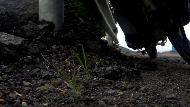 Пляж Зоклет смотреть онлайн