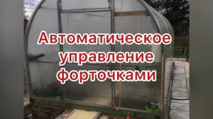 Что делать, если в теплице из поликарбоната жарко?