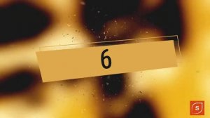 Верили. Ждали. Надеялись. Мечтали. Создавали