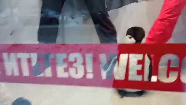 Пингвины в магазине. Казань. Зима 2023 смотреть онлайн