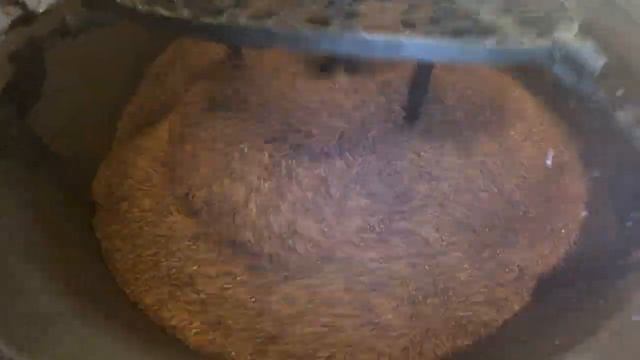 Tratamento de sementes ON FARM com TURBINE GRAZMEC! смотреть онлайн