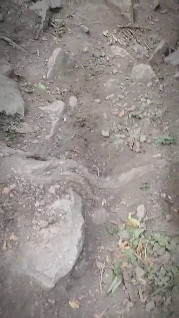 #shorts #бештау #экстрим смотреть онлайн