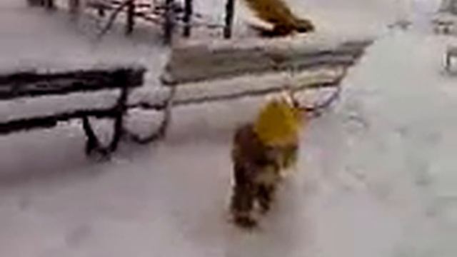 Видео-0001.mp4 смотреть онлайн