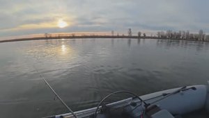 Клюёт всё - щука, судак, окунь, жерех, сазан, карась, сом! Рыбалка на спиннинг.