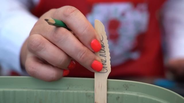 Дачные сезоны с Мариной Рыкалиной от 18 июля 2024 года смотреть онлайн