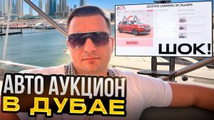 Автомобильный рынок в Дубае, аукцион и супер цены!