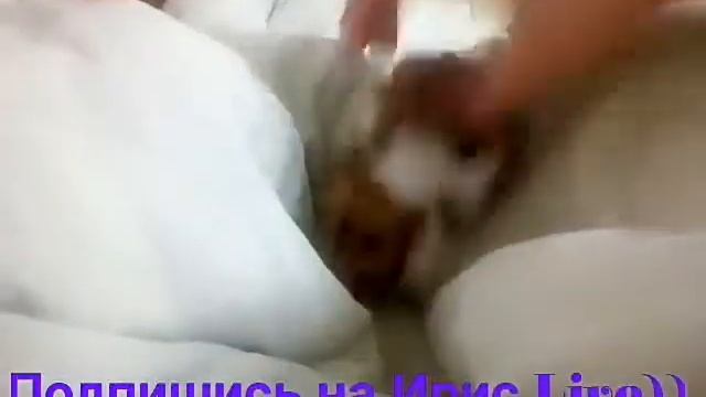 Прогулка по кровати | Ирис Live смотреть онлайн