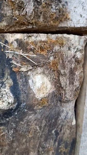 элитный мёд смотреть онлайн