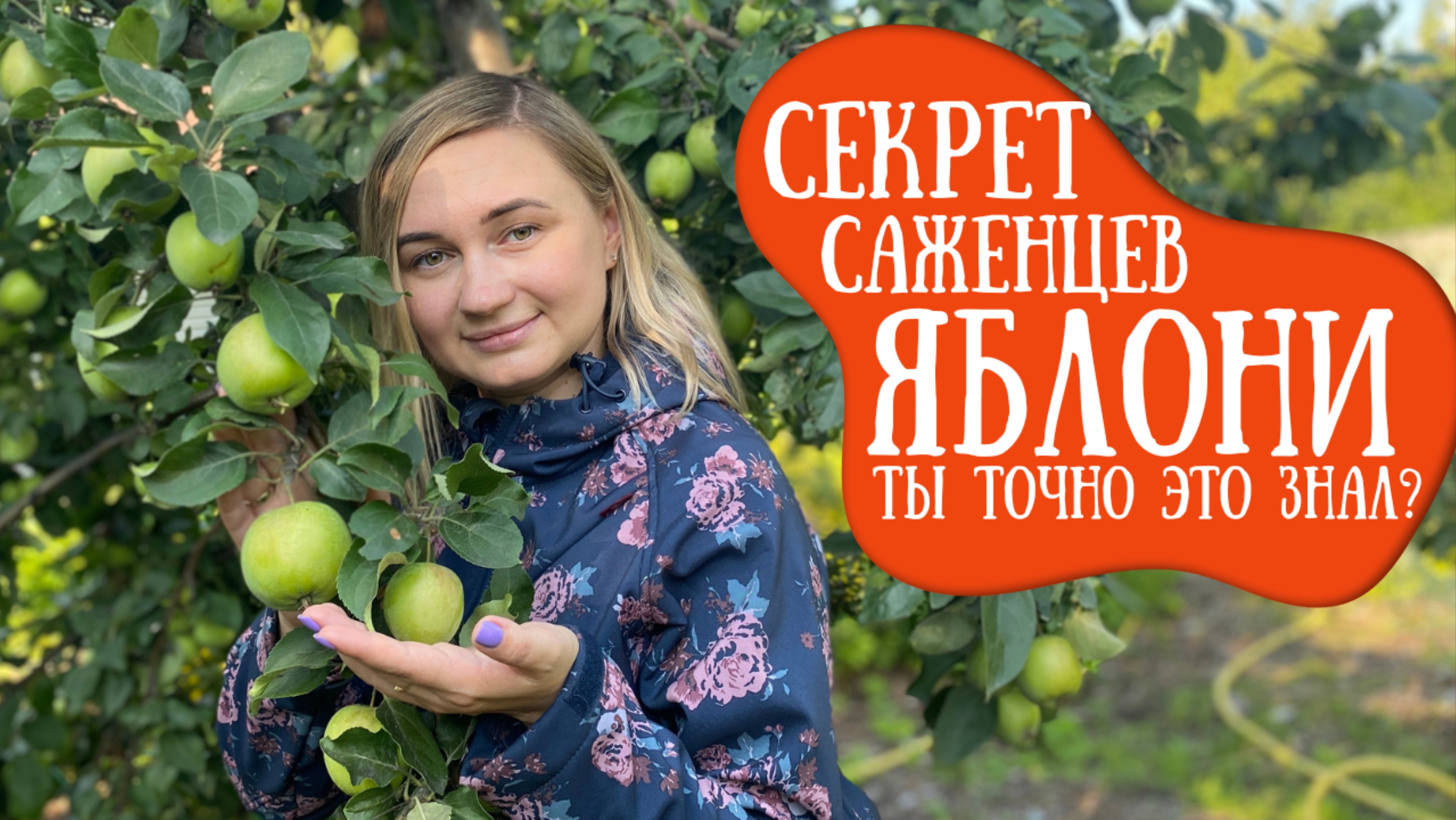 “Почему ваша яблоня не плодоносит? Ошибка в выборе подвоя!”