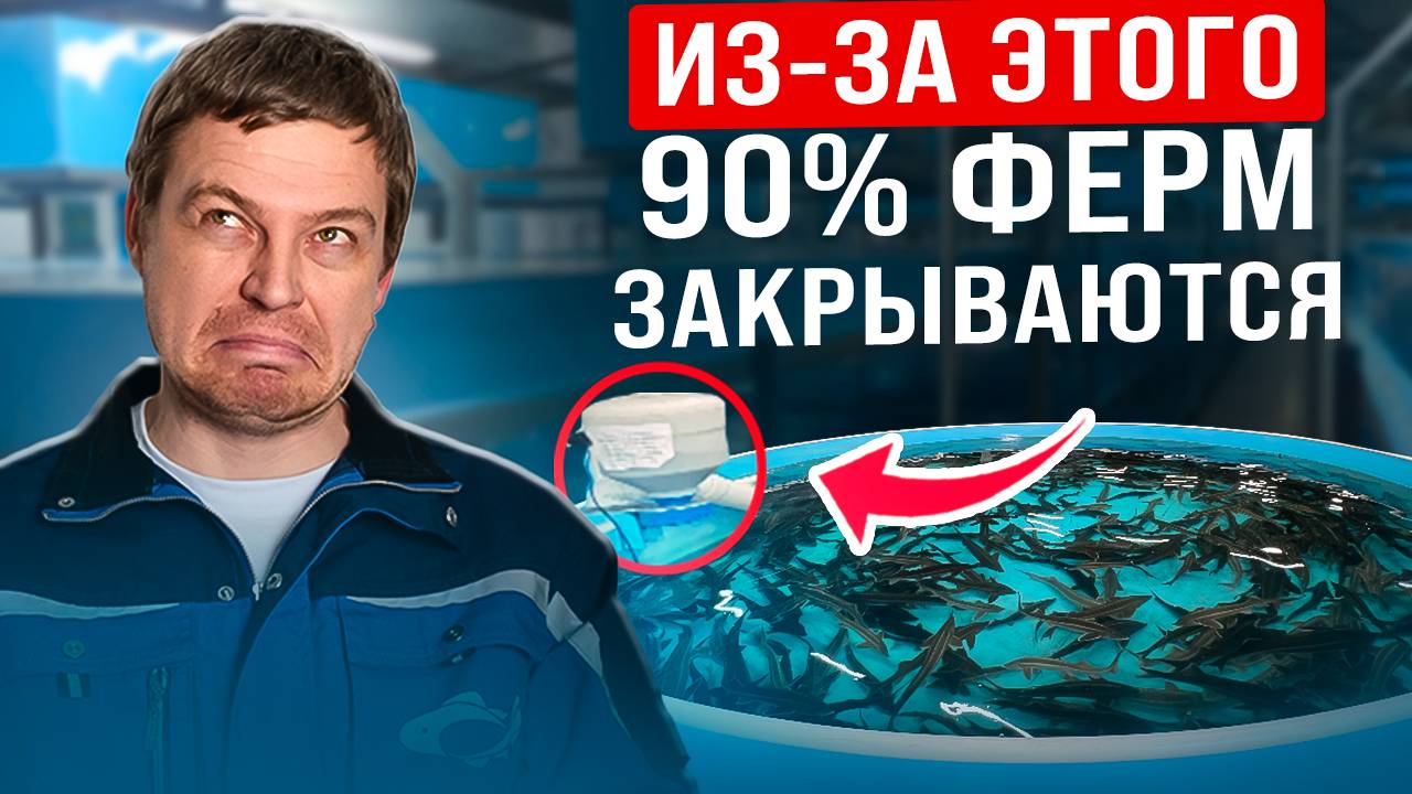 СРОЧНО посмотри, пока рыба не умерла _ Как создать стабильный доход на разведении рыбы в 2025_ смотреть онлайн
