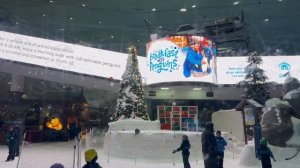 ОАЭ. Дубаи. Крытый горнолыжный комплекс (Ski Dubai)