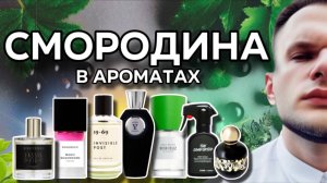СМОРОДИНА В АРОМАТАХ / ПОДБОРКА АРОМАТОВ СО СМОРОДИНОЙ 🍀