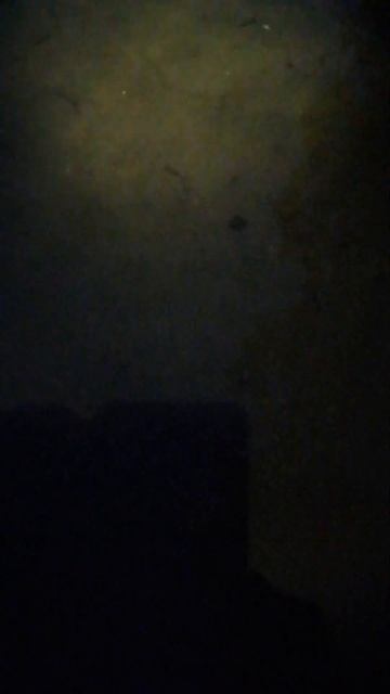 Отдых на Десногорском ВДХР лето 2023 года смотреть онлайн