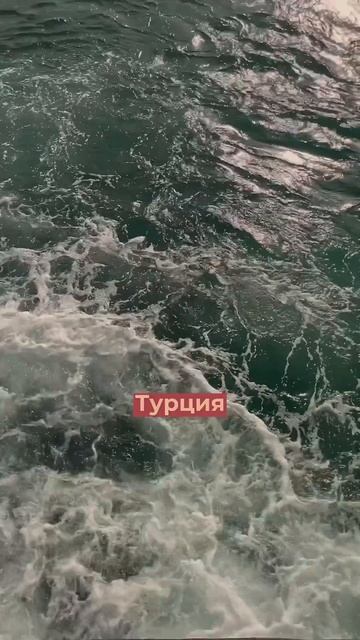 Почему мы решили остаться в Сербии рассказала в своем инст переходи и оставайся с нами