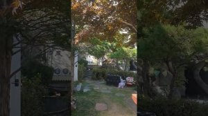 Compound bow M122 again ^^