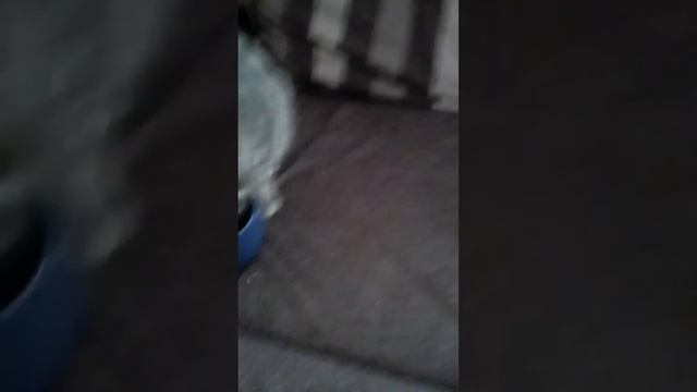 Чисто и эконономожно доверятьи делает самоочитску