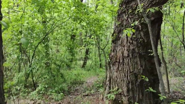 Рыбалка на Днепре 21.05.2020 смотреть онлайн