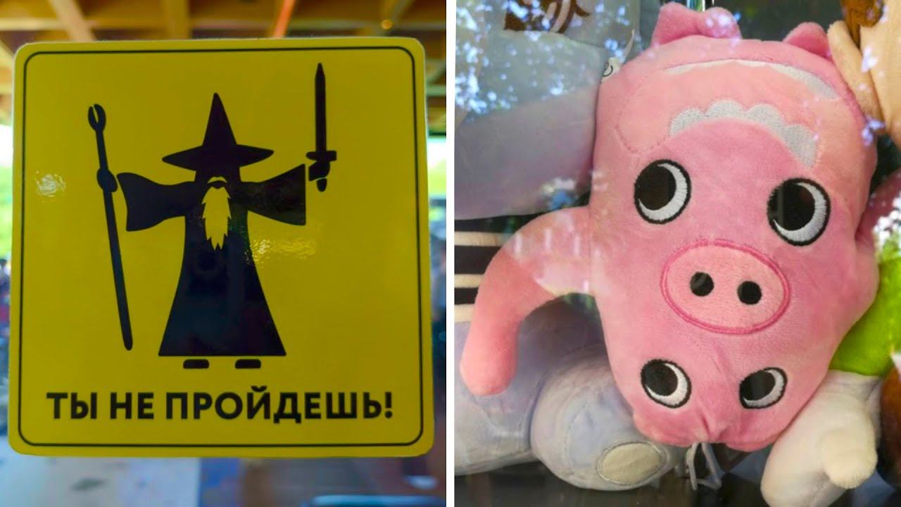 Фото подписчиков Фактории (243 часть) смотреть онлайн