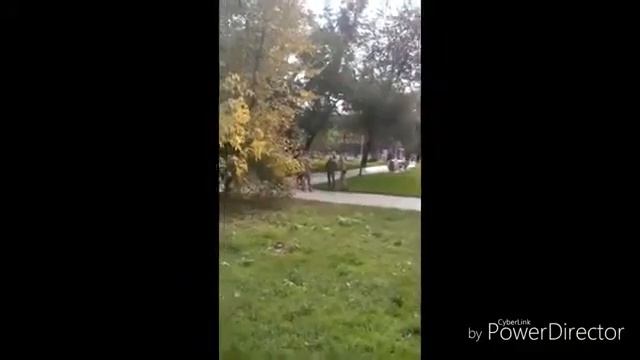 Атошники,"гордость"бандеровского режима... смотреть онлайн