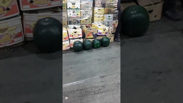 Нархи тарбуз ва харбза дар фуд сити смотреть онлайн