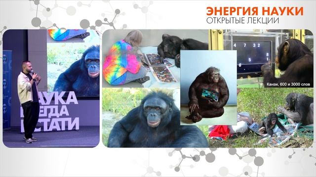 Лекция Ильи Гомыранова «Сны для осьминога. Интеллект животных»