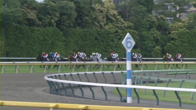 Romantic Warrior одержал пятую победу подряд!