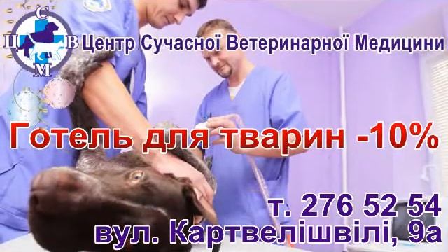 Акция в ЦСВМ на Борщаговке смотреть онлайн