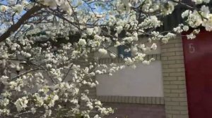 19.04.25 Мы а Луганске! Встреча с отцом💖 Дела домашние