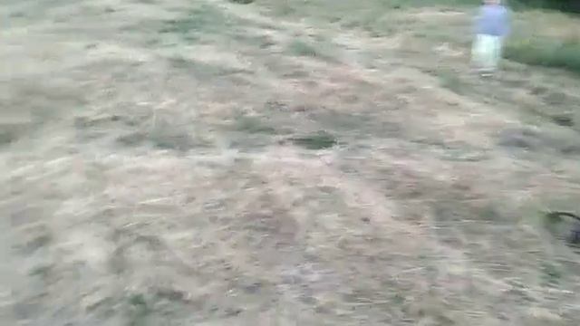 Закат на речке. Роман-Кош Хеймдаль. Воронеж 8.06.24.1год смотреть онлайн