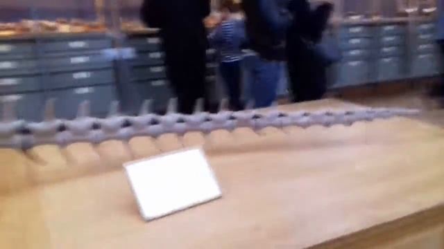 Sarcosuchus imperator смотреть онлайн