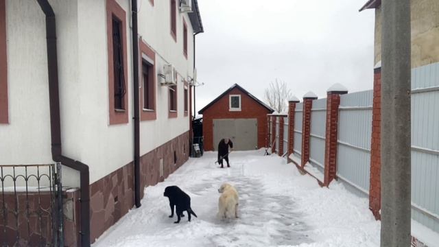 Надо уметь все - и снег почистить: меня родители приучили к труду - я им очень благодарна !26.12.2