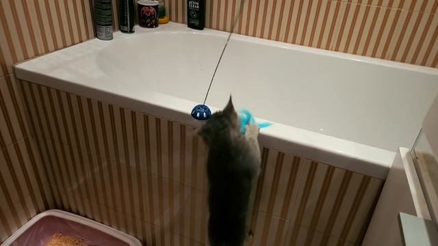 НАМЕРИХМЕ ГО НА УЛИЦАТА... смотреть онлайн