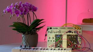 Luca Francini - Serenade in Bloom / Eurorack Ambient